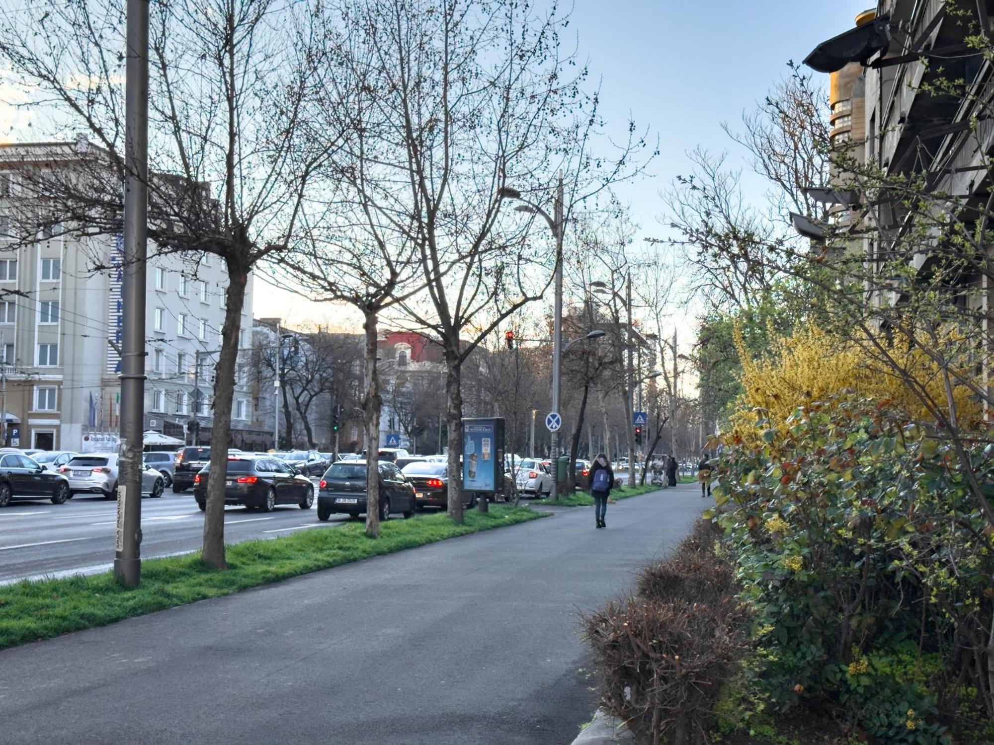 Central Retreat Apartments Bucarest Esterno foto